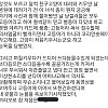고양이 처음 키워보는 순수한 친구 썰