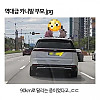 역대급 카니발 부모