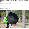 양산 기온 닷새째 40도 넘겨…‘최고기온 42도 가능성도’