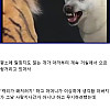 파키스탄 외노자와 빈집털이 썰.jpg