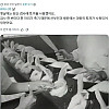 몇섑년 전에 썼던 임신 확인 방법.jpg