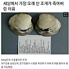 세상에서 가장 오래 산 조개가 죽어버린 이유