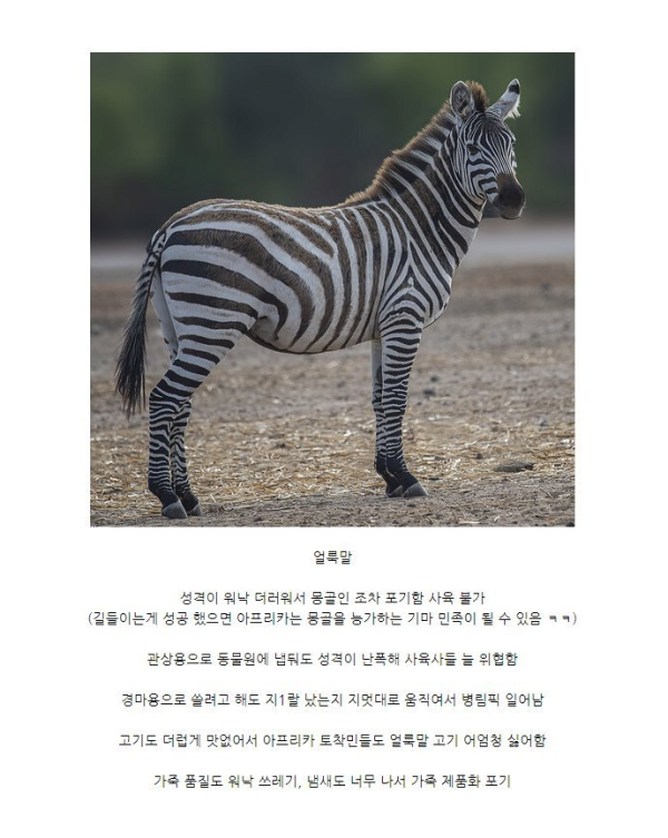 bt527fdc81d438566e3ccf295d5f45f13b.png