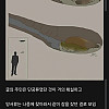 남아공에서 발견된 낭만 그 자체인 화석