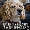 암컷 강아지 특징