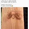 미국에서 유명하다는 사진