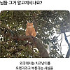 님들 그거 알고계시나요?