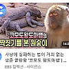 EBS 썸네일
