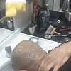 샴푸 썰매